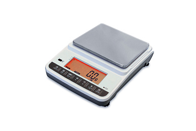 Весы электронные с первичной поверкой